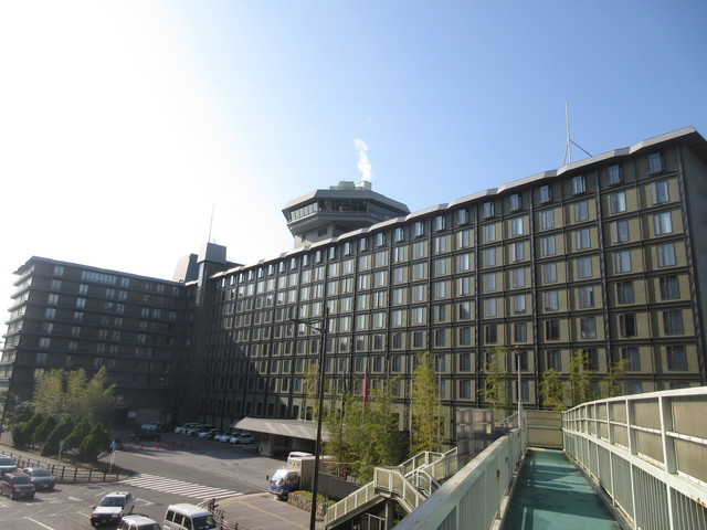IMG_7983.JPG